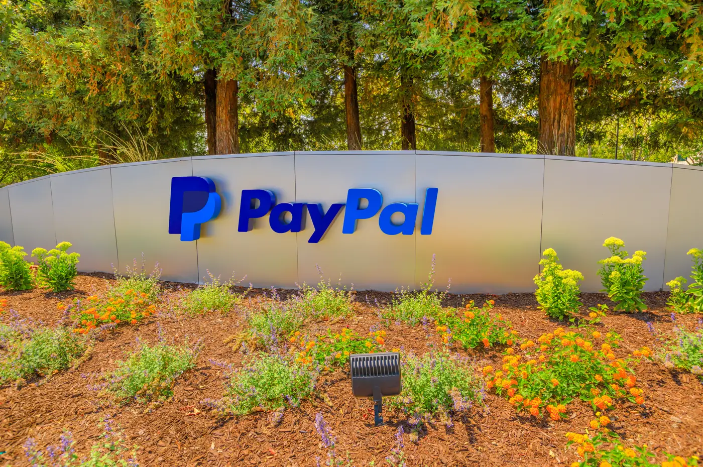 A PayPal logo on the wall of a garden near the head office
